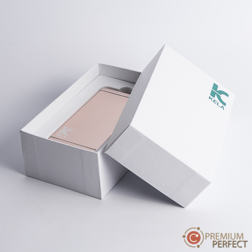 ผลงาน 61 power bank KELA