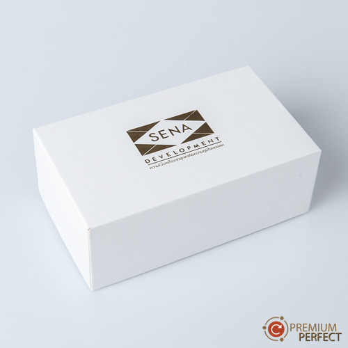 ผลงาน 143 power bank SENA DEVELOPMENT