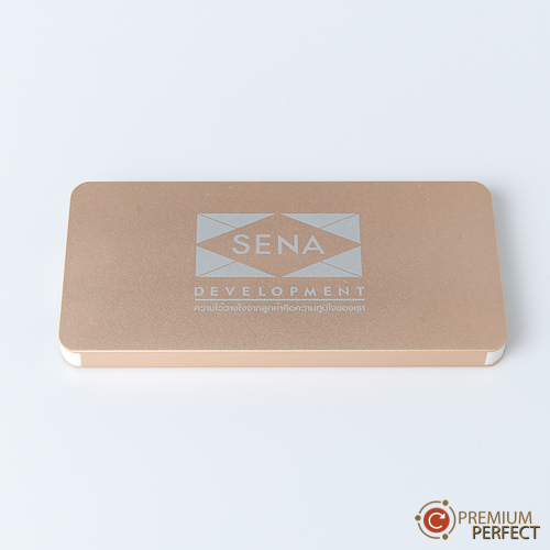 ผลงาน 143 power bank SENA DEVELOPMENT