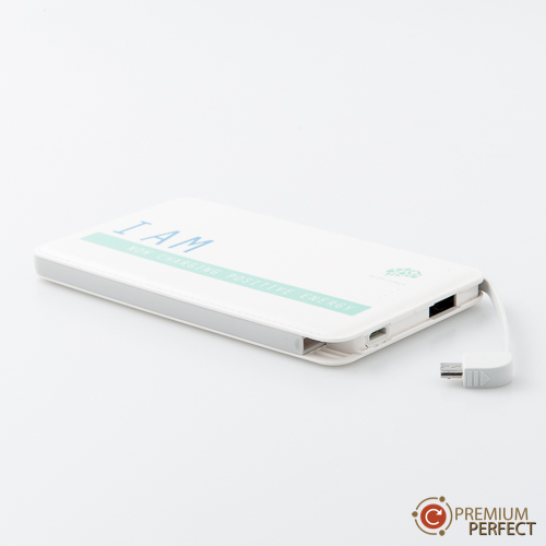 ผลงาน 151 power bank I AM